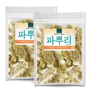 퓨어영 국산 파뿌리 총백 500g, 2개