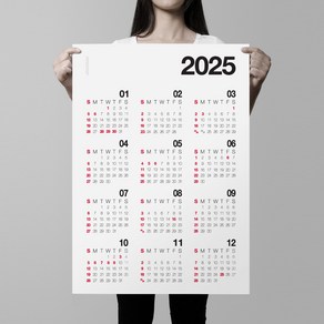 알루이 2025년 대형 벽걸이 달력 포스터 한장달력