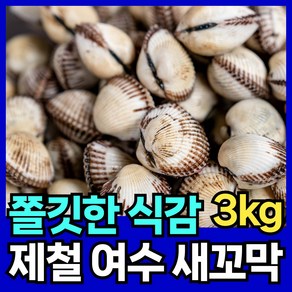 핏시드 제철 새꼬막 여수 벌교 꼬막, 1개, 대(3kg 180-210미)