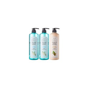 댕기머리 허벌 티트리 쿨링 샴푸 1000ml 2개아르간 트리트먼트