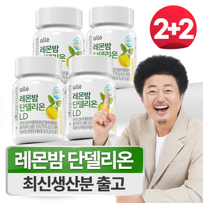 민들레 추출물 레몬밤 1200 단델리온 알레 600mg x 60정