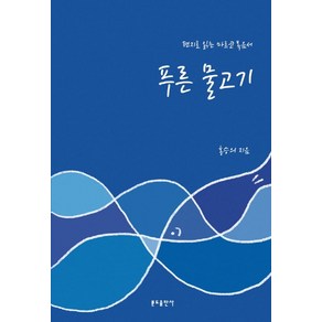 푸른 물고기:편지로 읽는 마르코 복음서, 분도출판사, 9788941920106, 홍승의 저