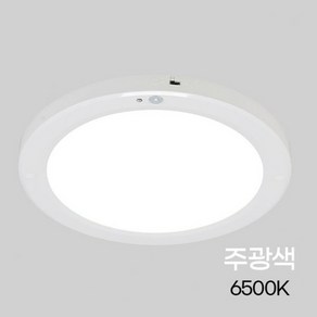 비츠온 원형 LED 센서등 엣지 10인치 20W, 주광색, 1개