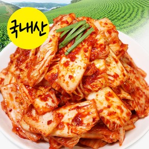 [밥도둑들] 겉절이 2kg/맛없으면 무료반품