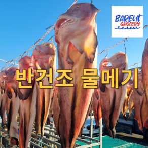 서해안 반건조 물메기 미그지 물곰, 1개, 중700g