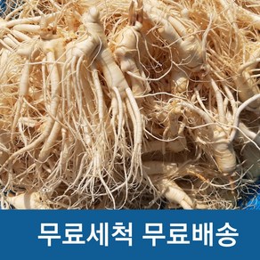 세척인삼 실속형 햇인삼 금산 세척삼 수삼(200g)난발파삼, 2개