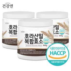 호라산밀 곡물 발효 효소 분말 가루 식약청인증 HACCP, 3개, 300g