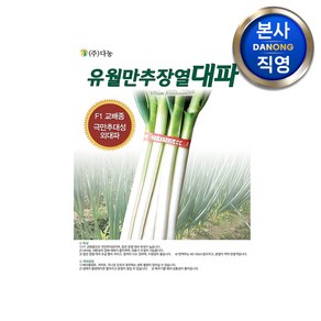 유월만추 장열 대파 씨앗 80g . 야채 채소 텃밭 파종 재배 F1 외대파 종자, 1개