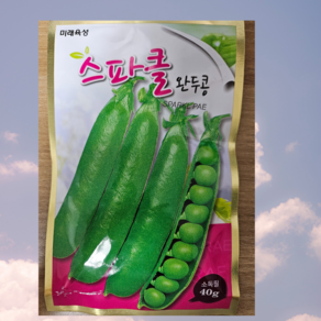 스파클완두콩 40gm, 1개