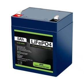 인산철 배터리 전기 자동차용 리튬 철 인산염 저장 고급 LiFePo4 10Ah 12V, 1개, 1개입