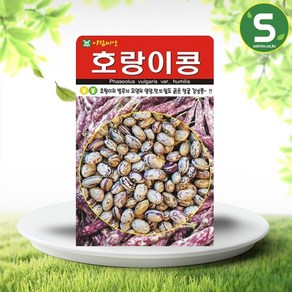 솔림텃밭몰 호랑이콩씨앗 30g 강낭콩씨앗 호랑이넝쿨강낭콩씨앗