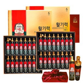 정관장 6년근 홍삼정 활기력 32개 (홍삼농축액+비타민) 640ml+쇼핑백 새해 설 명절 부모님 선물 보자기 포장 1세트, 640ml, 1개