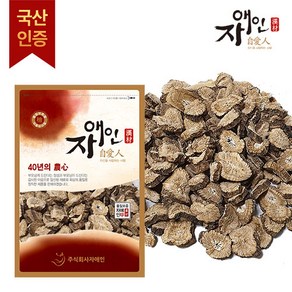 자애인 국산 말린 우엉 1kg 볶지 않은 우엉의 맛 경북안동, 1개, 1개입