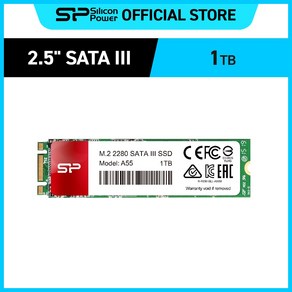 실리콘파워 A55 M.2 2280 SATA III SSD, 1TB