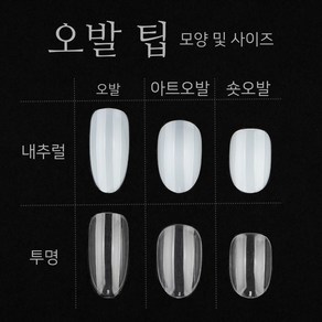 네일 리필 팁 (50입) / 오발 오벌 아트오발 숏오발 패디 인조 손톱, 아트오발 투명 3호, 1개