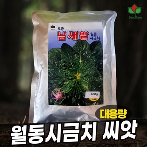 씨드코리아 뿌리붉은 남새밭 시금치씨앗 400g 대용량 월동시금치씨앗 겨울 섬초, 1개