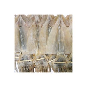 마른오징어 특대10마리 1kg 건조오징어, 1개