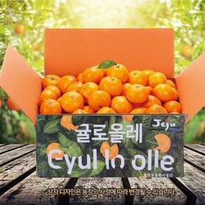 eTV [24년수확]제주 하우스감귤 2.5kg(제주직송)