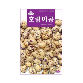 (CN) 호랑이콩 씨앗 (30g), 1개