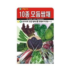 아람종묘 10종모듬쌈채 씨앗 1000립 10가지 혼합 쌈채씨 종자, 1개