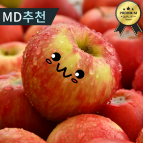 [재구매율94%] 16bix 달콤아삭 청송사과 부사사과, 1개, 2kg 로얄가정용(랜덤과)