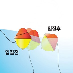 피싱인사이드 자바낚시 [물면 뒤집혀요] 피싱인사이드 카멜레온찌 리베로 고리찌 벵에돔찌, 대_0, 1개