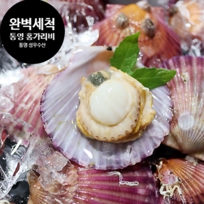 통영 성우수산 깨끗한 세척 선별 홍가리비 1Kg (25미내외)