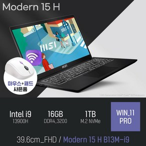 MSI 모던시리즈 모던 15 H B13M-i9, WIN11 Po, 16GB, 1TB, 블랙