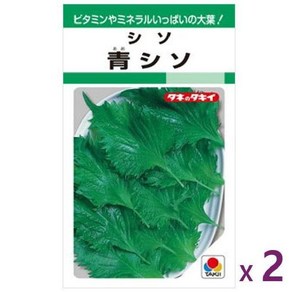 타키이 종묘 아오 시소 청시소 씨앗 2팩( 일본 발송 ), 2개
