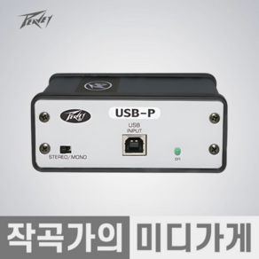 [작곡가의 미디가게] Peavey USB-P 피베이 USB P DAC DI BOX 다이렉트박스 다이렉트 스테레오 모노 오디오