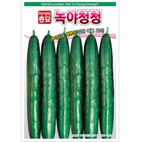 아시아종묘 씨앗 오이 녹야청청 40립 3ea, 3개