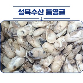 싱싱한 급속 냉동 통영 굴 생굴 깐굴 알굴 냉동굴 1kg, 1개