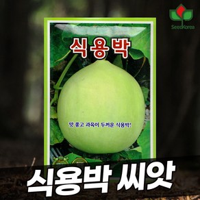 씨드코리아 식용박 씨앗, 1개