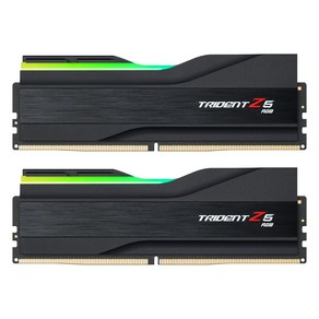 G.SKILL DDR5-6000 CL30 TRIDENT Z5 RGB J 패키지 (32GB(16Gx2)), 2개