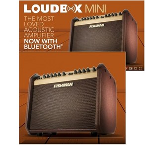 피쉬맨 라우드박스미니 블루투스 어쿠스틱앰프 Fishman Loudbox Mini BT, 단일옵션, 1개