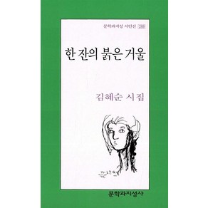 한 잔의 붉은 거울(문학과지성 시인선 288)