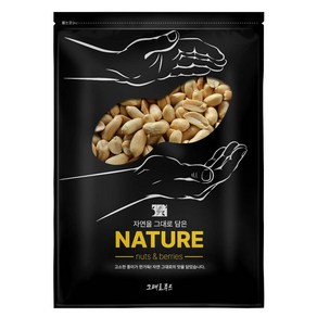 그대로푸드 튀김땅콩 1kg 비너스 조미 깐땅콩, 1개