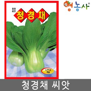 청경채 씨앗 2g 청경채씨 종자 키우기 영농사, 1개