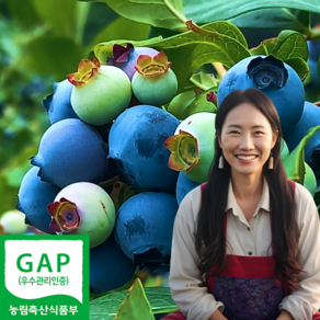 산지직송 고당도 국산 생 블루베리, 1박스, 특대과 1kg