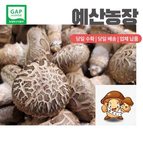 GAP인증 친환경 표고버섯 화고못난이 생 표고 버섯 산지직송 선물추천 끝내주는 이뿐이 특품1kg 명절선물 농장직송 이육식, 이뿐이-중, 1개