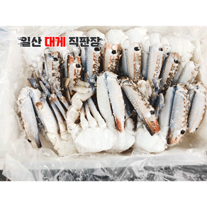 튀니지 바레인 냉동 절단 꽃게 6kg(500g*12pk)1박스 게장용 식당