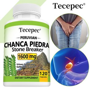 Chanca Pieda 1600 mg - 요로 건강 건강한 담낭 기능 및 신장 결석 용해 지원, 1박스, 120정