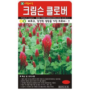 세인화분 크림슨 클로버 20g - 빨간 클로바 씨 씨앗, 1개