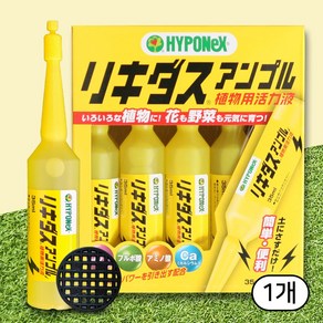 세경팜 하이포넥스 앰플 노랑 활력 리키다스 10개입, 1개, 350ml