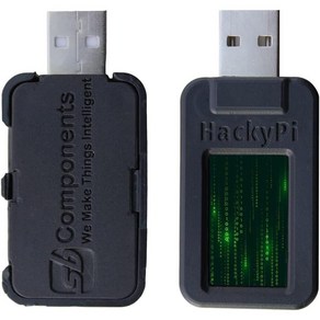 HackyPi DIY USB 해킹 도구