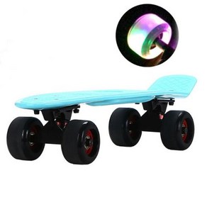 22 인치 크루저스케이트 보드 레트로 미니페니플래시, E(flash wheels), 1개