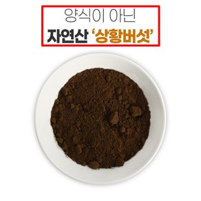 자연산 상황버섯 100% 분말 상황버섯가루 (캄보디아산), 1개, 80g