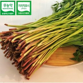 청도 특품 한재 미나리 1kg 무농약재배, 3개