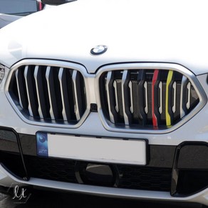 [국내제작] BMW X6 그릴 드레스업 데칼 튜닝 스티커, B.독일(운전석), 1개