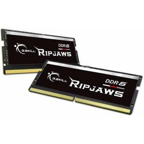 G.SKILL Rjaws DDR5 SO-DIMM 시리즈 램 64GB 2x32GB 5600MT/s CL40-40-40-89 1.10V 비버퍼링 논 ECC 노트북/노트북 메모리 SOD, 13) Black - 32GB (2x16GB) - DD